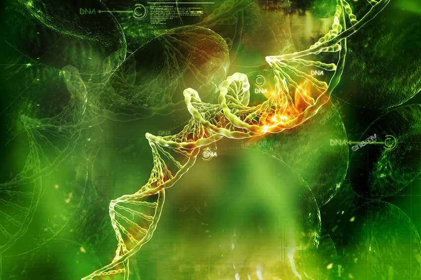 DNA Grün
